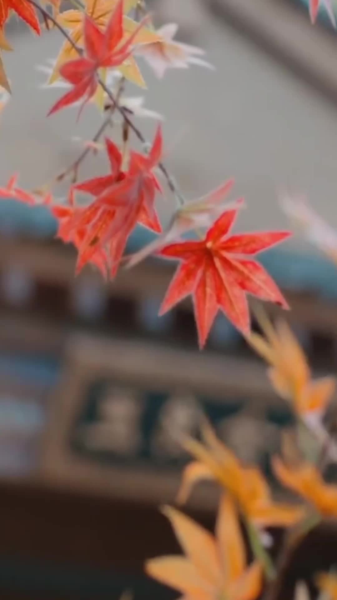 27화 - 저승의 심판자